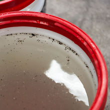 Load image into Gallery viewer, Bug+Tar Remover Heavy Duty Car Wash Shampoo